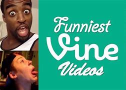 Image result for Vine Funny References