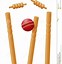 Image result for Types of Wickets