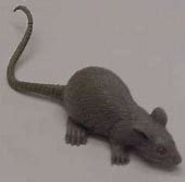 Image result for Large Rubber Rat Prop