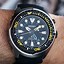 Image result for Seiko Kinetic Divers Watch