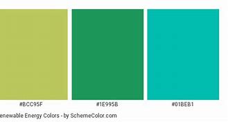 Image result for Color for Sustainable Future Energy
