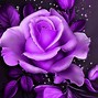 Image result for Purple Flower with Black