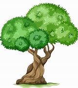 Image result for Tree ClipArt