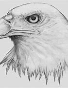 Image result for Sketched Line Eagle Face