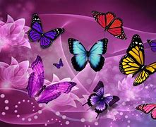 Image result for butterfly fantasy  wallpapers