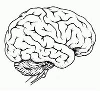 Image result for Coloring Sheet of Light in Brain