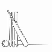 Image result for Cricket Bat Ball Illustration