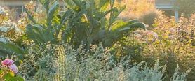 Image result for Nature Header Aesthetic