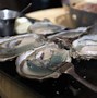 Image result for Small Sweet Oysters