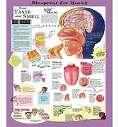 Image result for Impaired Smell and Taste