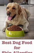 Image result for Dog Food Skin Allergies
