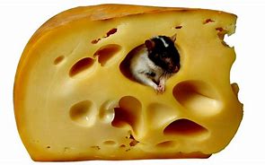 Image result for Cute Mouse with Cheese