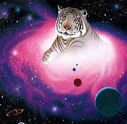 Image result for Habitat XCVI Galaxy Tiger