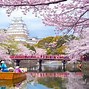 Image result for Cherry Blossom Japan Tourist Attractions