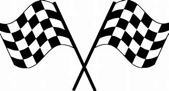 Image result for NASCAR Flag.png