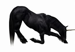 Image result for Black Unicorn PNG