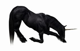 Image result for Black Unicorn PNG