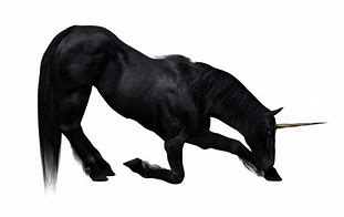 Image result for Black Unicorn Transparent Background