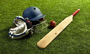 Image result for Cricket Background Pic