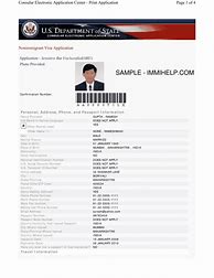 Image result for Online Visa Application Form