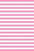 Image result for Dark Pink Stripes