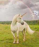 Image result for Real Unicorns Alive