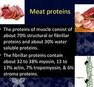 Image result for Non-Animal Proteins