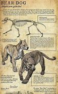 Image result for Mythical Bear Dog Creatures