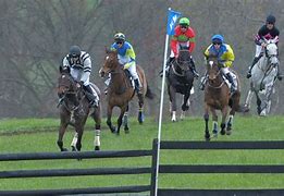 Image result for Steeplechase Course