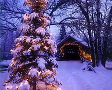 Image result for Christmas Scenery Pictures