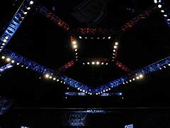 Image result for Los Angeles Arean MMA
