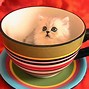 Image result for Cat in Ramen Cup