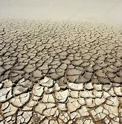 Image result for Cracked Mud