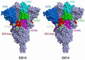 Image result for Covid 19 Spike Protein