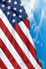 Image result for USA Flag Vertical