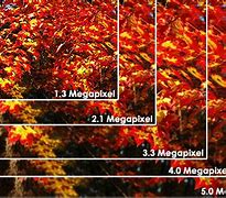 Image result for Megapixel Photos
