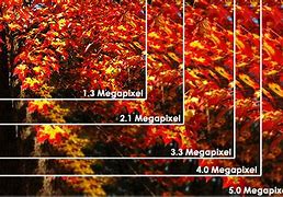 Image result for 2 Megapixel Camera Sample Shots