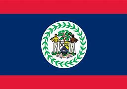 Image result for Belize Flag