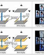 Image result for What Is an LCD IPS Display