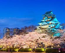 Image result for Cherry Blossoms Osaka Japan