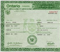 Image result for Ontario Canada Death Certificate