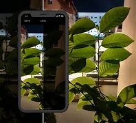 Image result for iPhone SE Low Light Camera