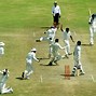 Image result for Ground Cricket Insect