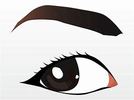 Image result for Brown Eyes SVG