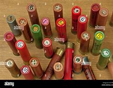 Image result for 410 Shotgun Cartridges