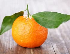 Image result for Tangerine Mandarin Orange