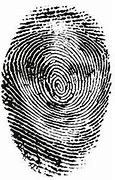 Image result for Fingerprint Introduction