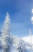 Image result for Snow for Bottom of a Screen