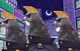Image result for Pigeon Dating Game