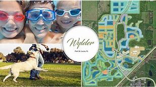 Image result for wylder